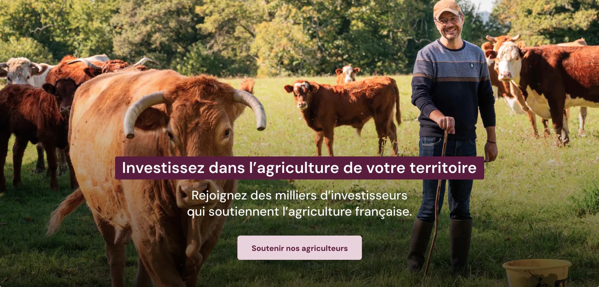 Investir dans la filière Céréales avec Hectarea
