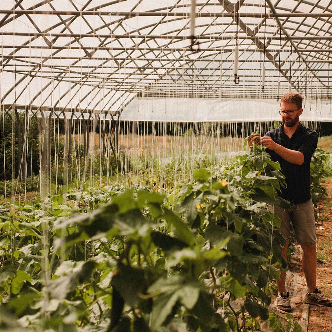 8,6 ha en maraîchage Bio - Fruits et légumes - Maraîchage en Ille-et-Vilaine | Hectarea - 2