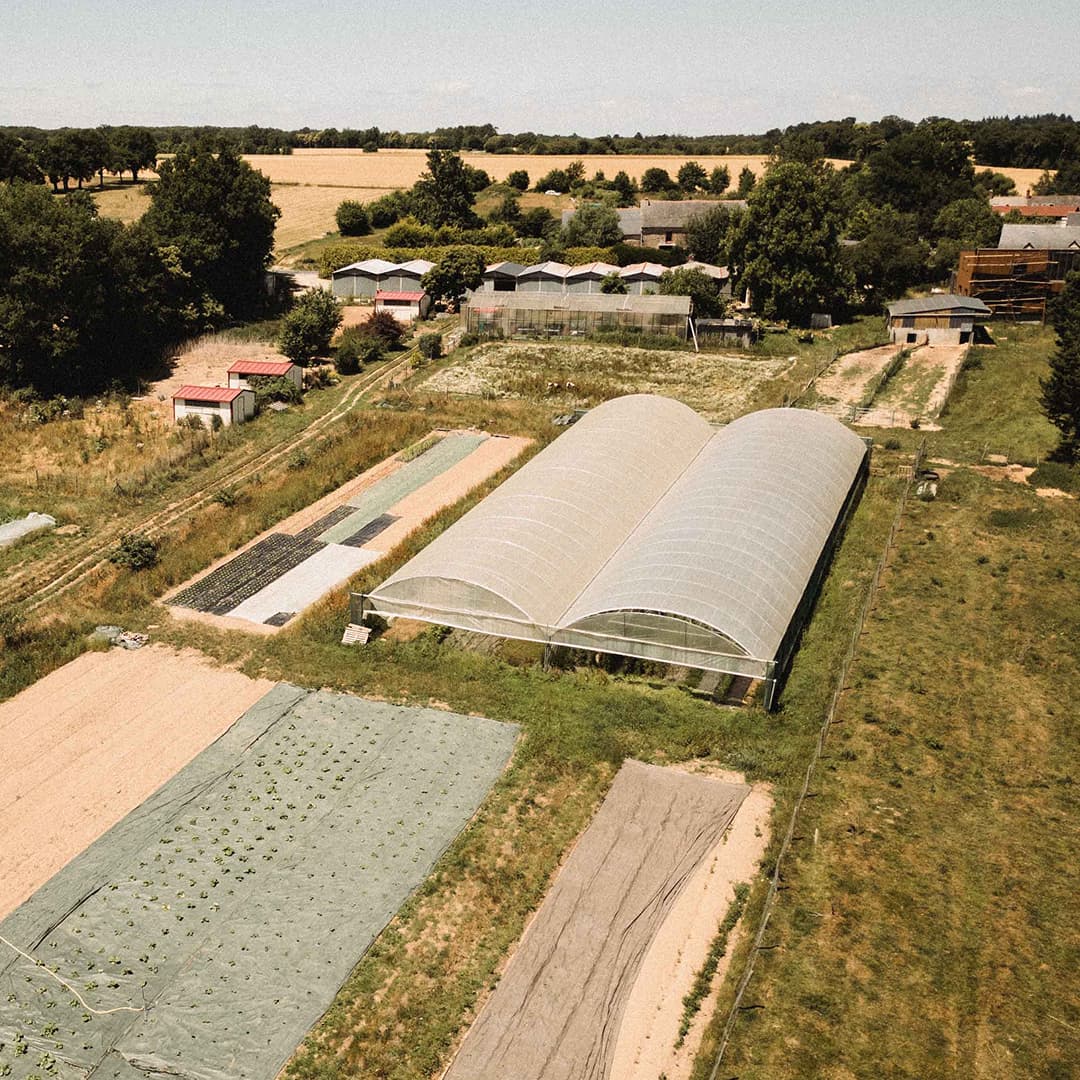 8,6 ha en maraîchage Bio - Fruits et légumes - Maraîchage en Ille-et-Vilaine | Hectarea - 4
