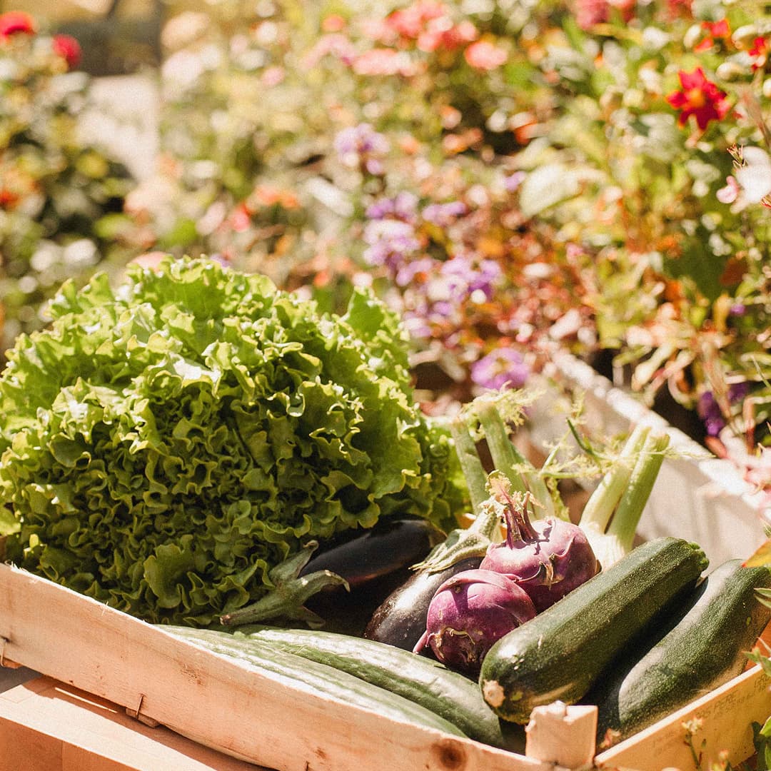 8,6 ha en maraîchage Bio - Fruits et légumes - Maraîchage en Ille-et-Vilaine | Hectarea - 6