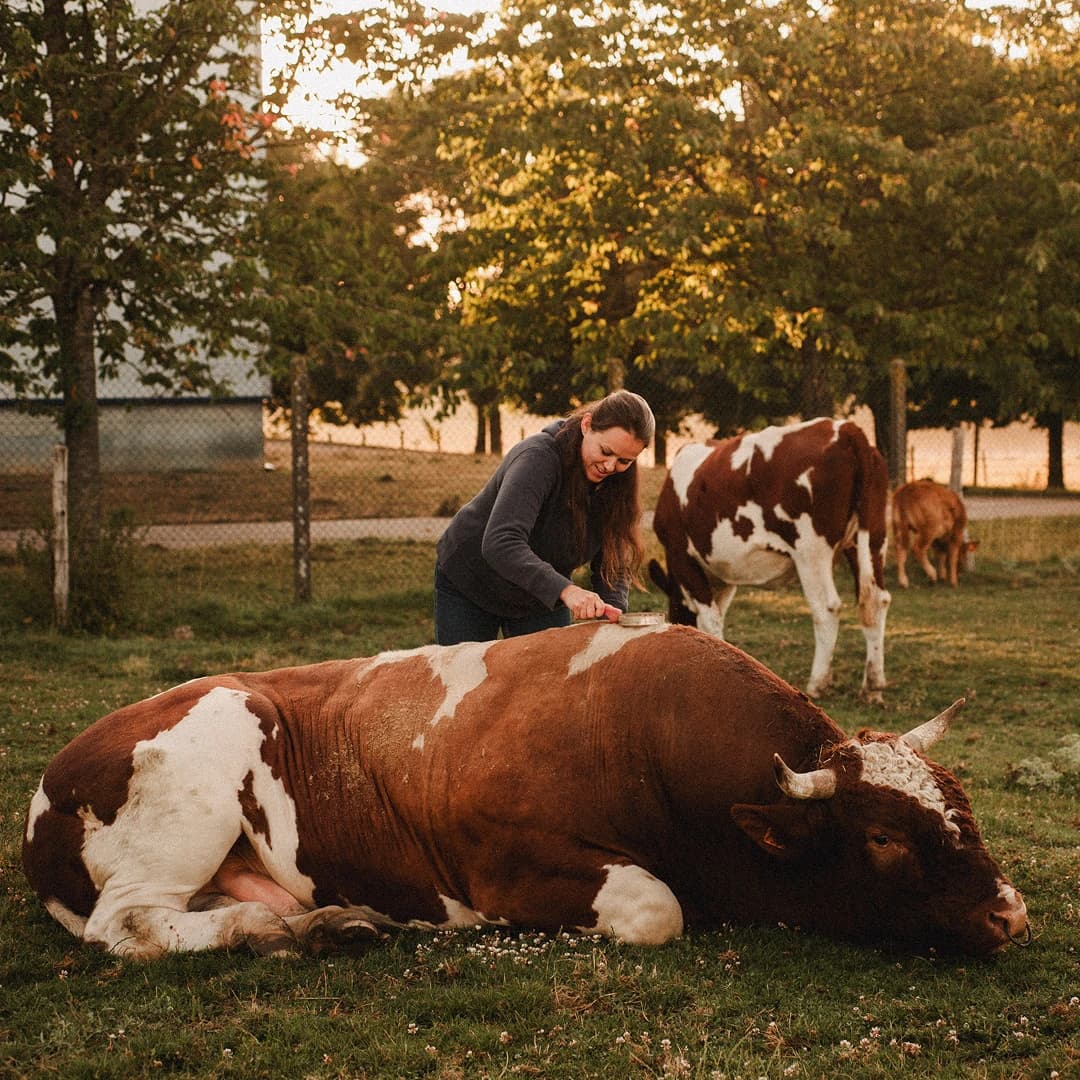 16,7 ha en élevage de Rouge-des-Prés - Boucherie traditionnelle - Élevage en Normandie | Hectarea - 1