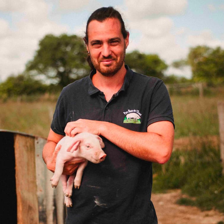 29,6 ha en élevage de Porc Blanc de l’Ouest Bio - Élevage en Finistère | Hectarea - 4