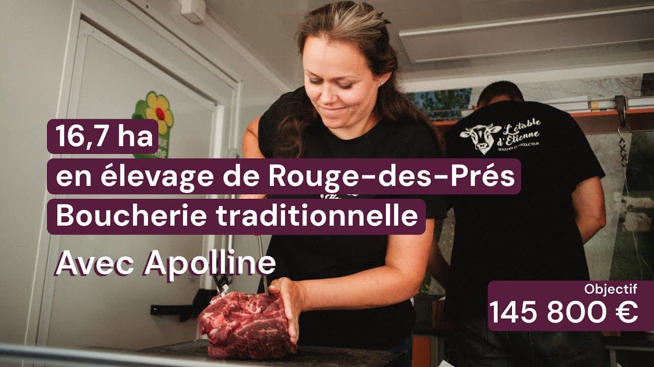 Vidéo - 16,7 ha en élevage de Rouge-des-Prés - Boucherie traditionnelle - Élevage en Normandie | Hectarea