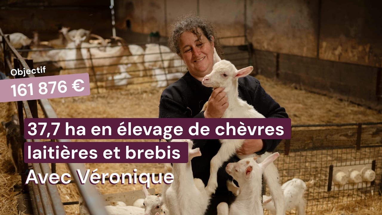 Vidéo - 37,7 ha en élevage de chèvres laitières et brebis - Céréales et Élevage en Nouvelle-Aquitaine | Hectarea