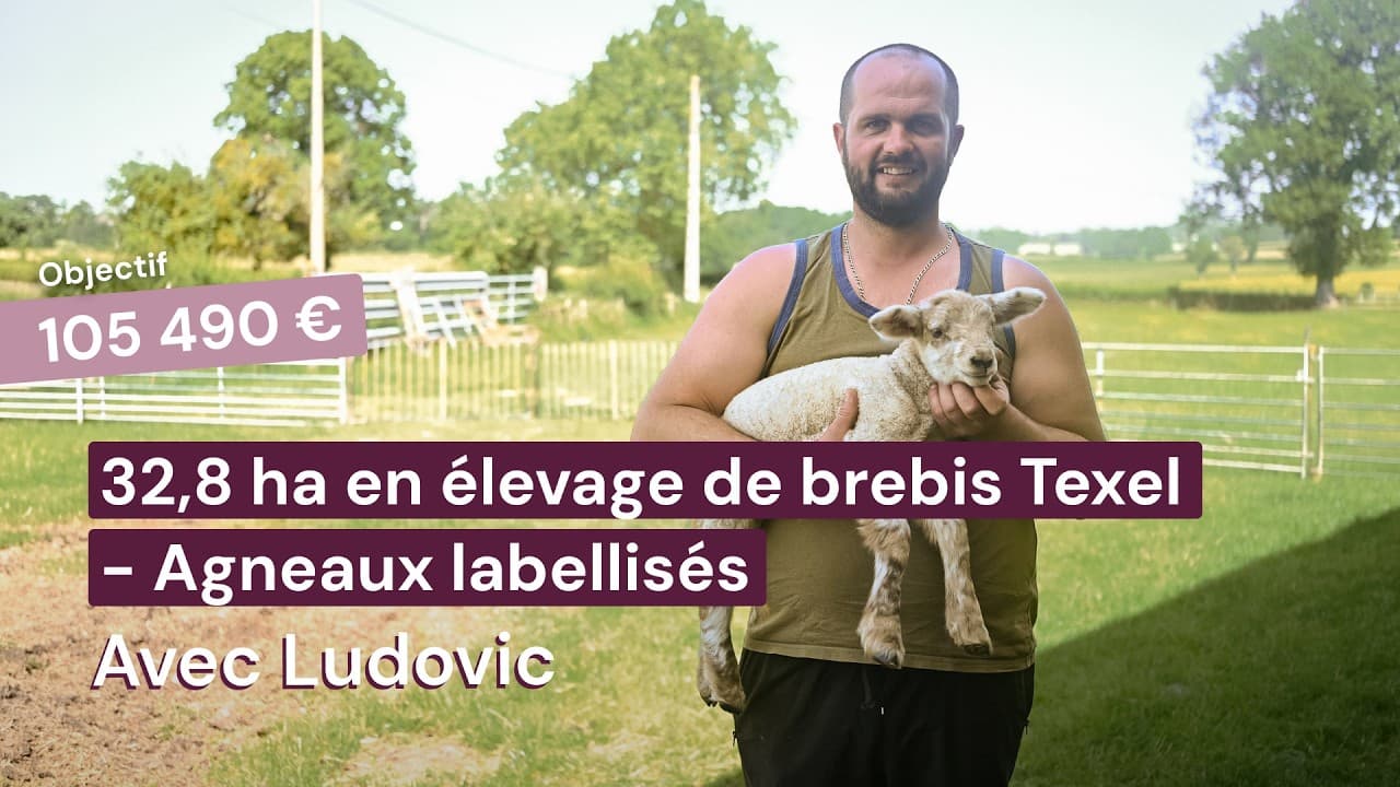 Vidéo - 32,8 ha en élevage de brebis Texel - Agneaux labellisés - Élevage en Auvergne-Rhône-Alpes | Hectarea