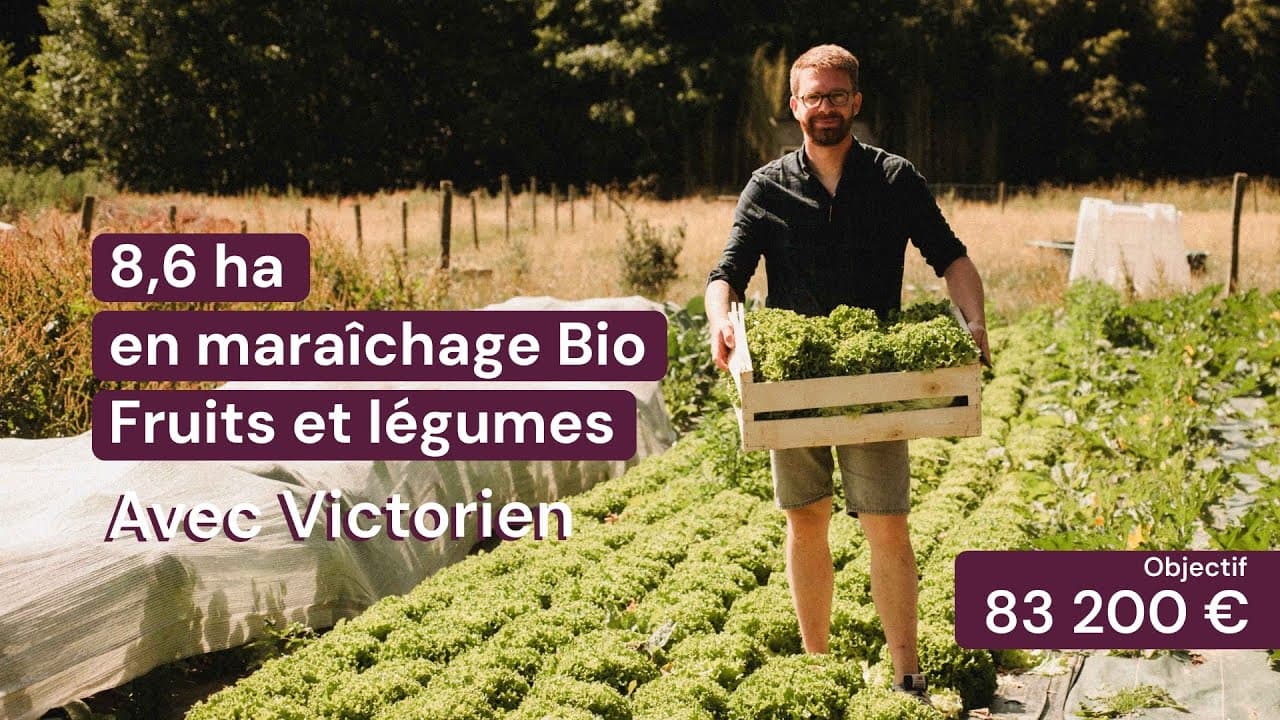 Vidéo - 8,6 ha en maraîchage Bio - Fruits et légumes - Maraîchage en Ille-et-Vilaine | Hectarea