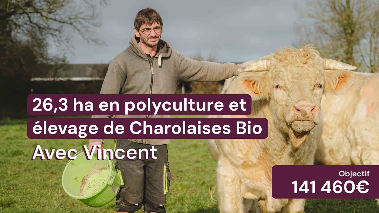 Vidéo - 26,3 ha en polyculture et élevage de Charolaises Bio - Céréales et Élevage en Centre-Val de Loire | Hectarea