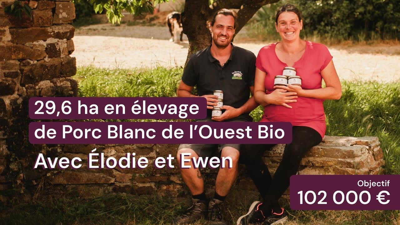 Vidéo - 29,6 ha en élevage de Porc Blanc de l’Ouest Bio - Élevage en Finistère | Hectarea