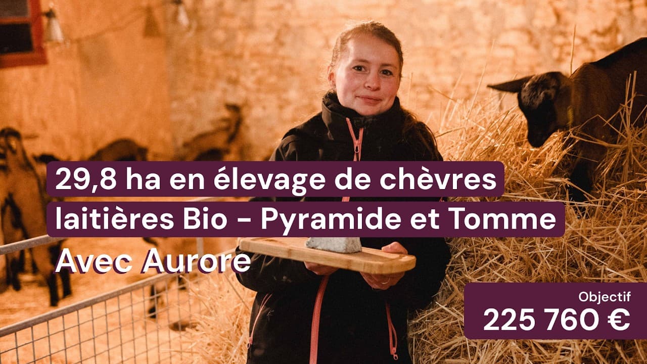 Vidéo - 29,8 ha en élevage de chèvres Bio - Pyramide et Tomme - Élevage en Centre-Val de Loire | Hectarea