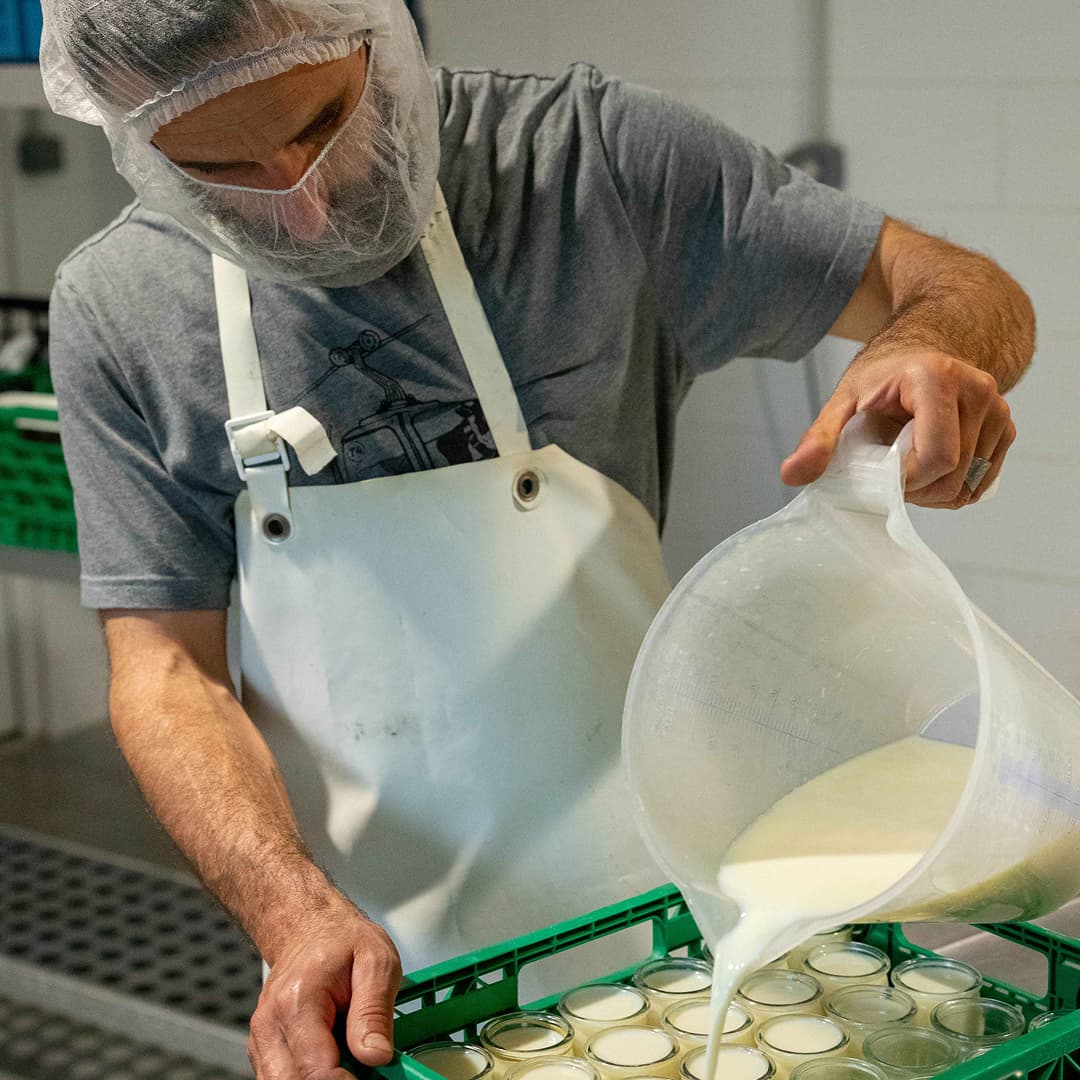 13,6 ha en élevage de vaches laitières - Yaourts fermiers - Élevage en Nouvelle-Aquitaine | Hectarea - 7