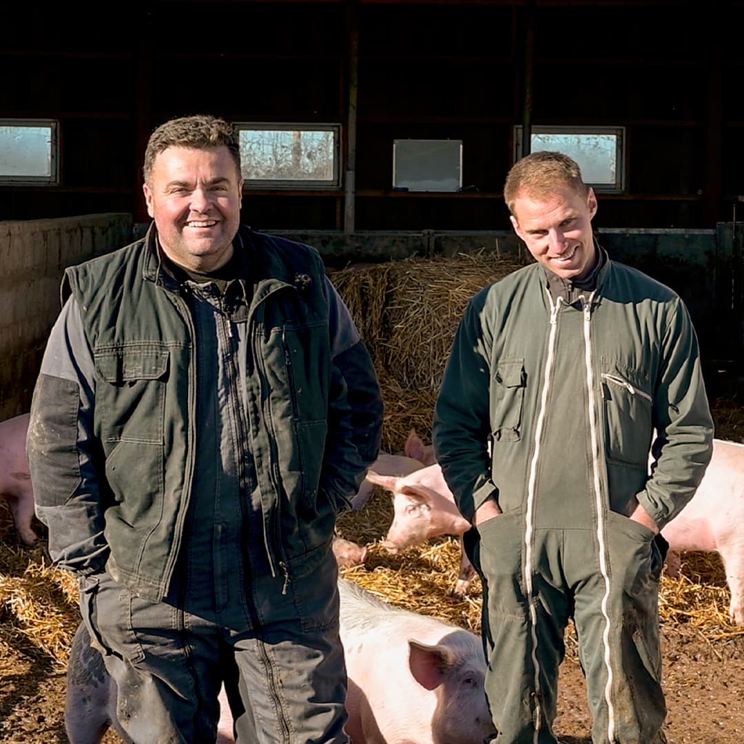 16,3 ha en élevage de cochons Bio et vaches Parthenaises - Élevage en Occitanie | Hectarea - 2