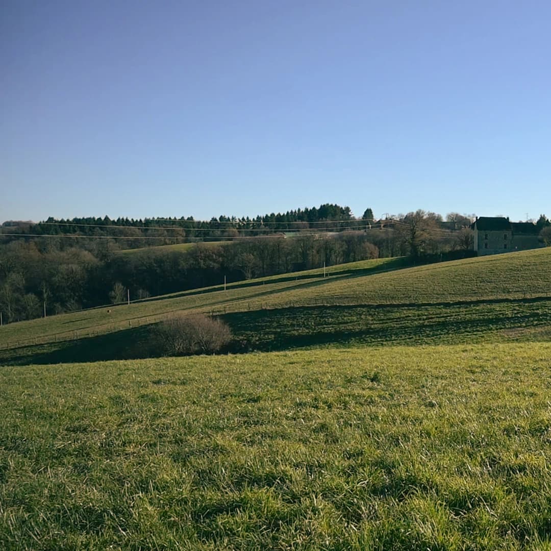 16,3 ha en élevage de cochons Bio et vaches Parthenaises - Élevage en Occitanie | Hectarea - 7