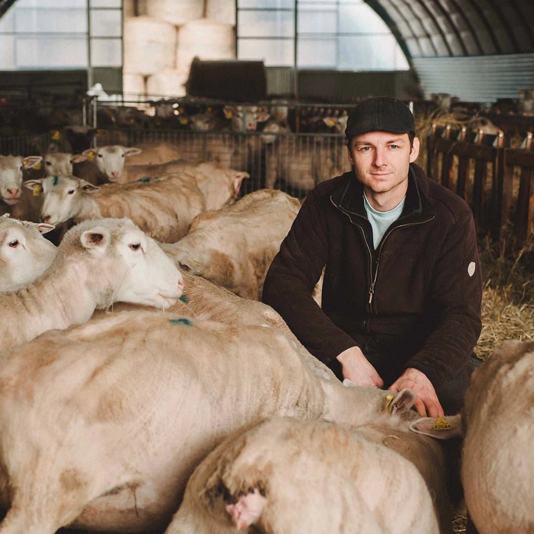 14,2 ha en élevage de vaches laitières et ovins Bio - IGP Raclette - Élevage en Auvergne-Rhône-Alpes | Hectarea - 2