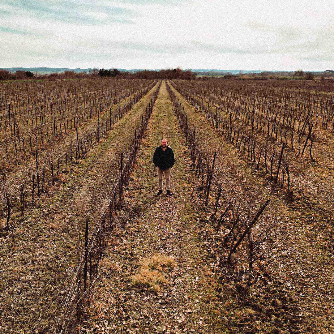 5,2 ha en vignes Bio - IGP Cévennes et AOC Duché d’Uzès - Viticulture en Occitanie | Hectarea - 7