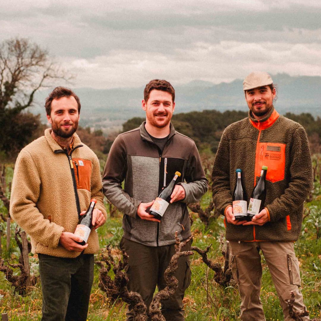 32 ares en vignes Bio - AOC Châteauneuf-du-Pape