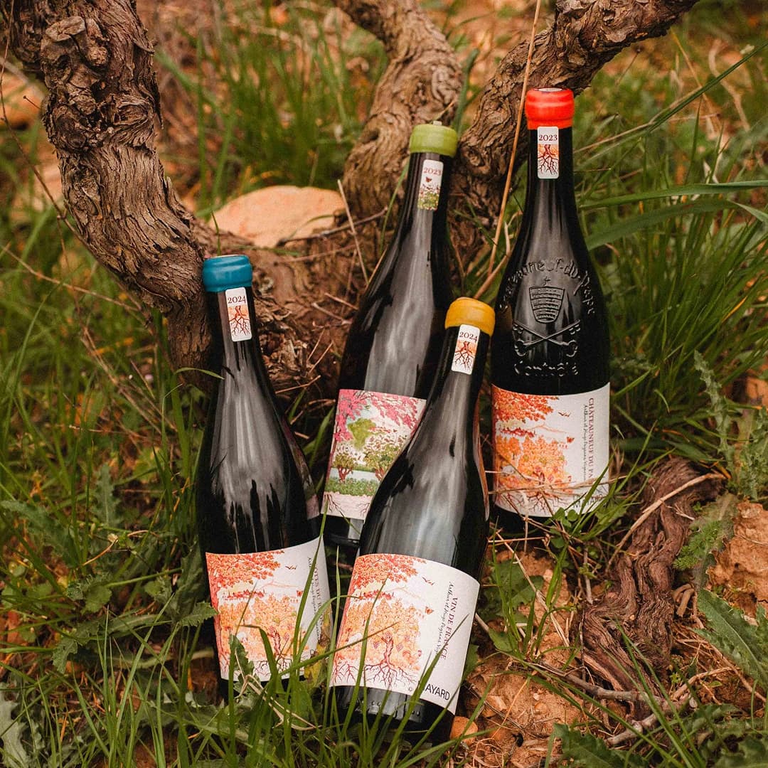 32 ares en vignes Bio - AOC Châteauneuf-du-Pape - Viticulture en PACA | Hectarea - 3