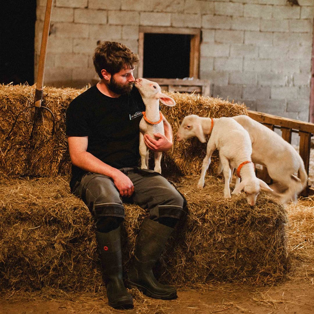 17,4 ha en élevage de brebis laitières - Tome de brebis - Élevage en Auvergne-Rhône-Alpes | Hectarea - 9