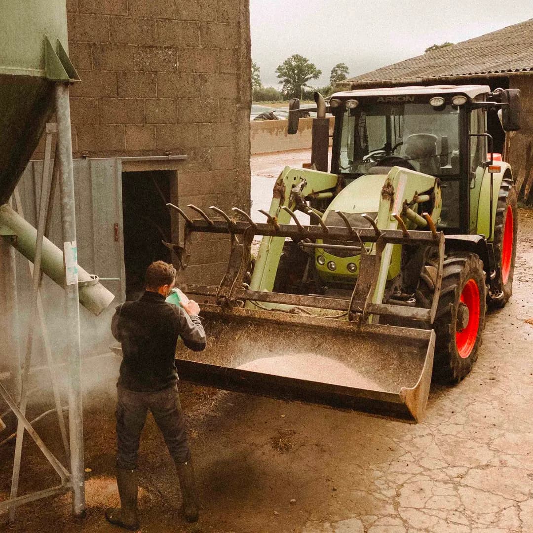 17 ha en élevage de vaches Holstein - Lait et céréales Bio - Céréales et Élevage en Pays de la Loire | Hectarea - 5