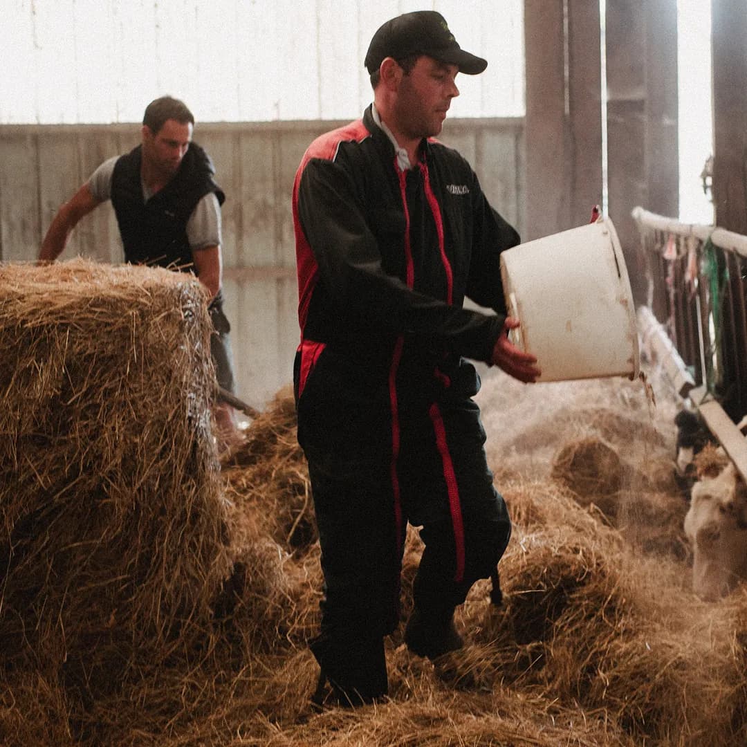 17 ha en élevage de vaches Holstein - Lait et céréales Bio - Céréales et Élevage en Pays de la Loire | Hectarea - 8