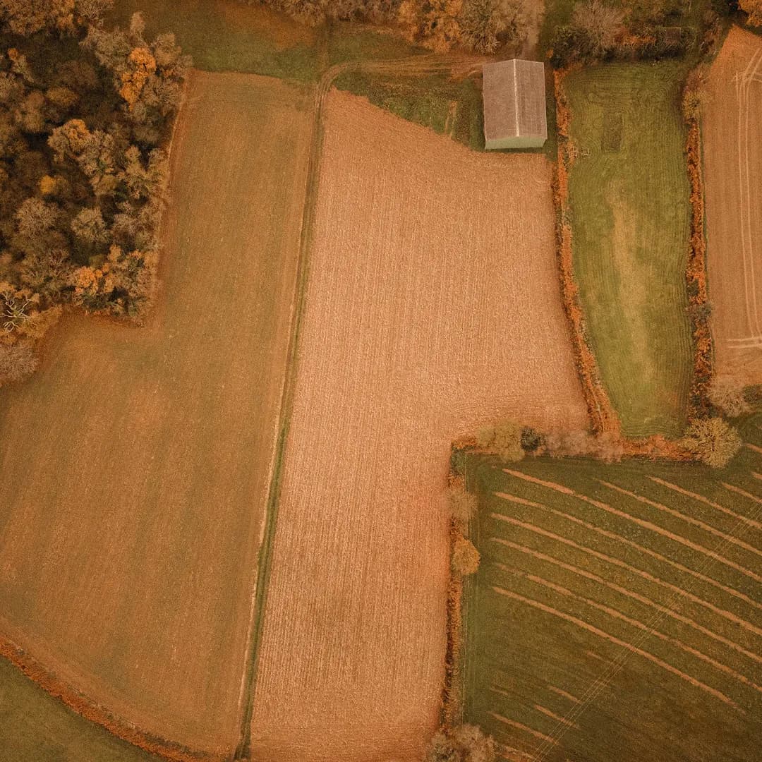 16,7 ha en céréales - Farines et pâtes Bio - Céréales en Bretagne | Hectarea - 5