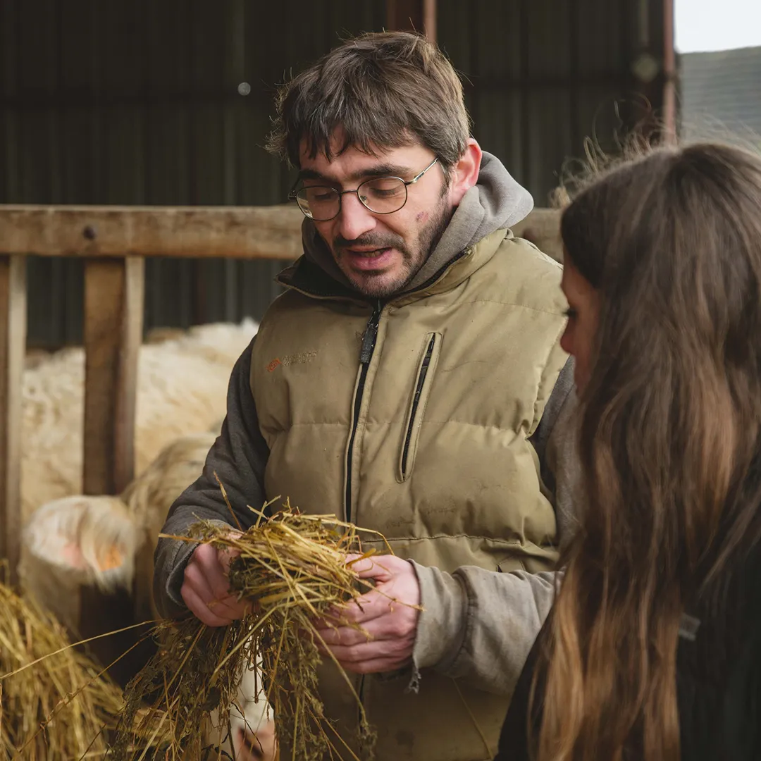 26,3 ha en polyculture et élevage de Charolaises Bio - Céréales et Élevage en Centre-Val de Loire | Hectarea - 1