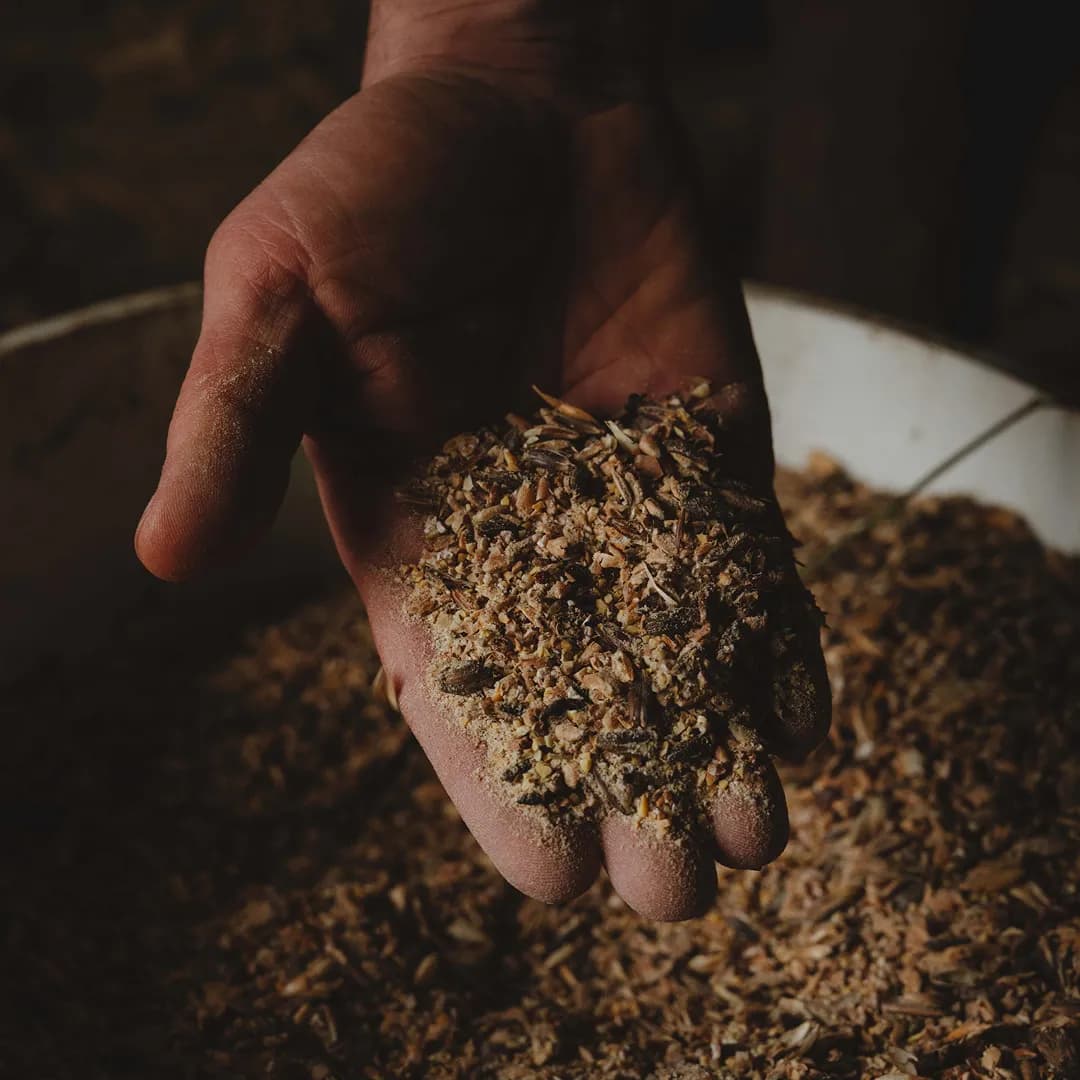 26,3 ha en polyculture et élevage de Charolaises Bio - Céréales et Élevage en Centre-Val de Loire | Hectarea - 2