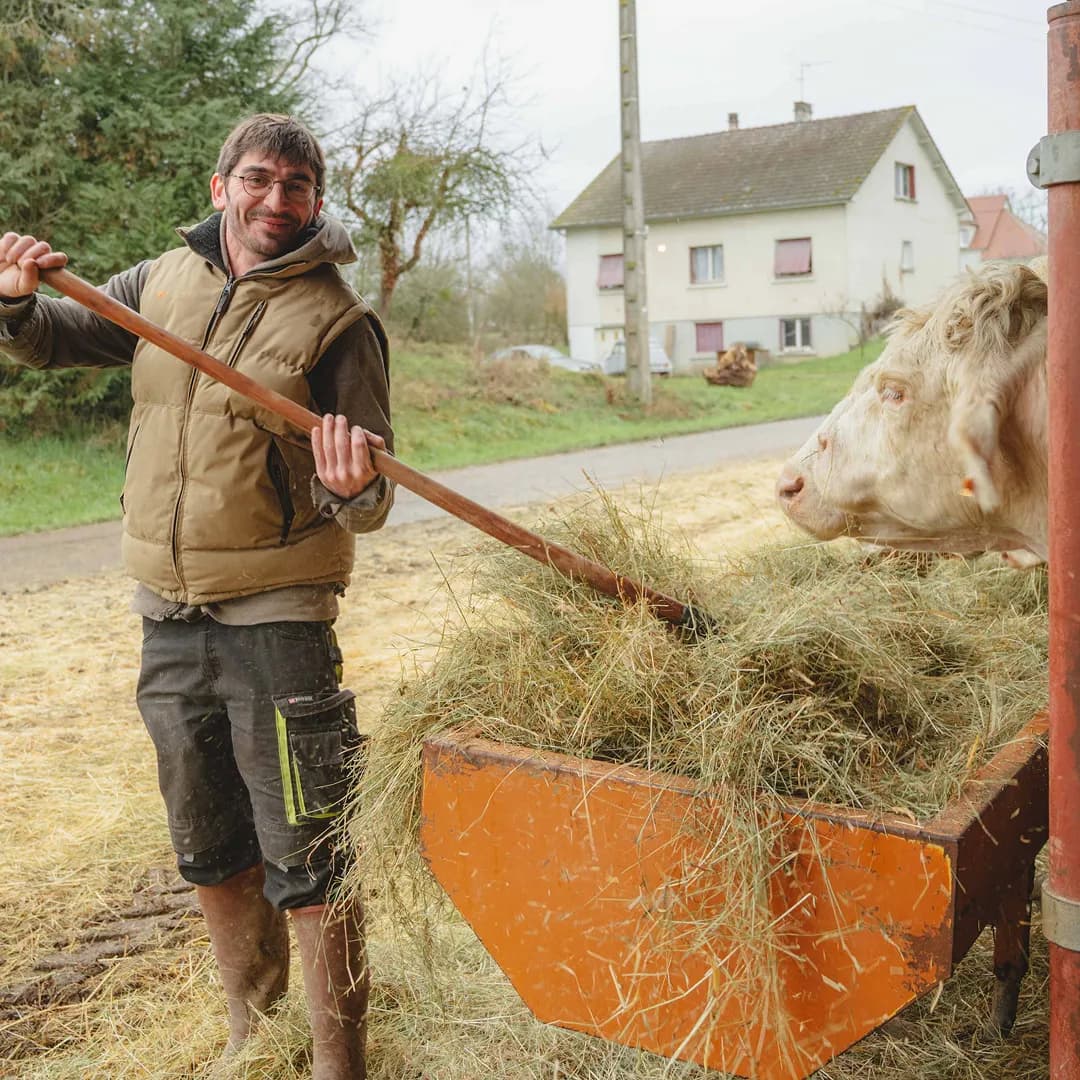 26,3 ha en polyculture et élevage de Charolaises Bio - Céréales et Élevage en Centre-Val de Loire | Hectarea - 3