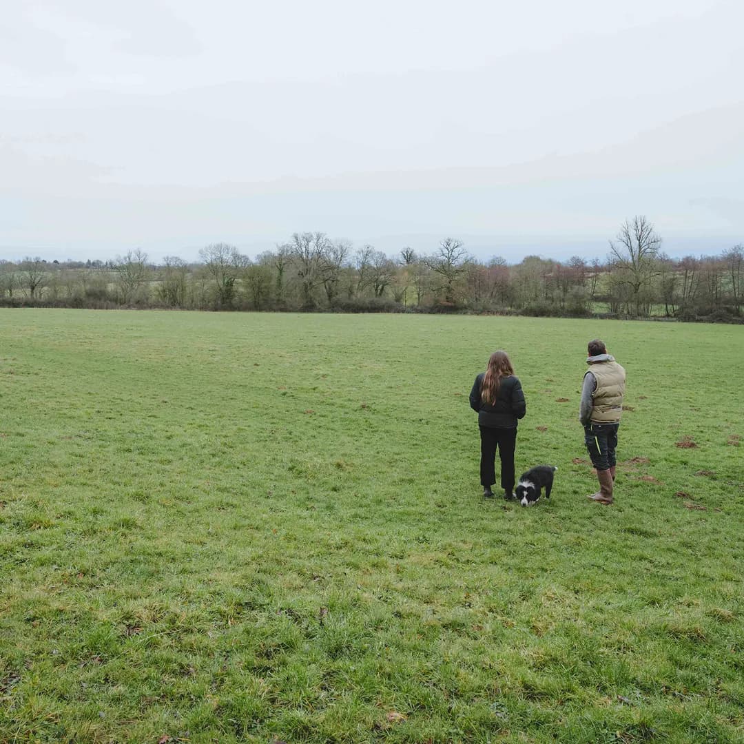 26,3 ha en polyculture et élevage de Charolaises Bio - Céréales et Élevage en Centre-Val de Loire | Hectarea - 5