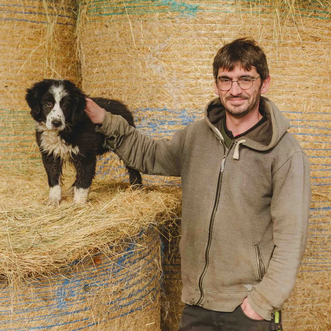 26,3 ha en polyculture et élevage de Charolaises Bio - Céréales et Élevage en Centre-Val de Loire | Hectarea - 8
