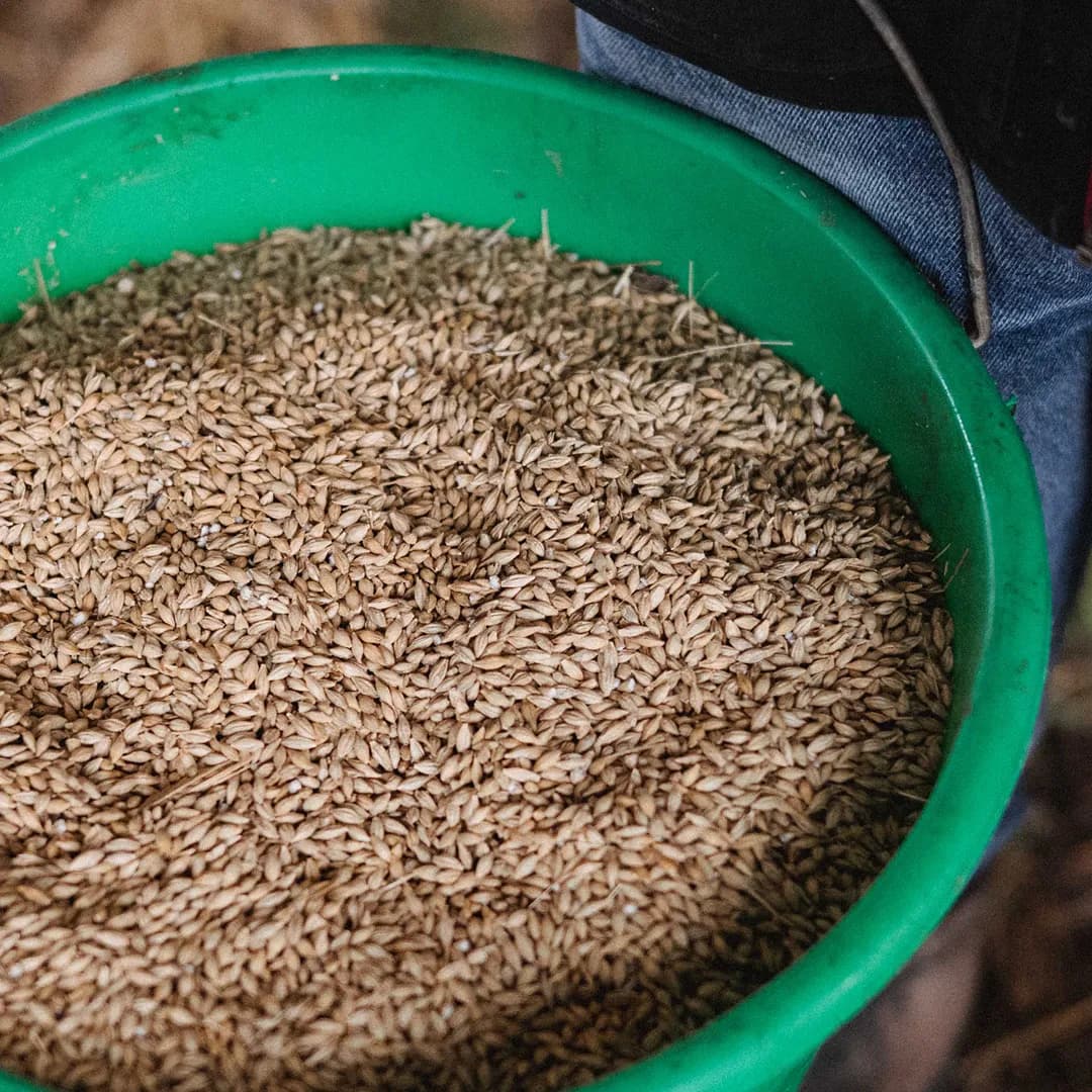 62,5 ha en élevage de Limousines et ovins Bio - Élevage en Nouvelle-Aquitaine | Hectarea - 2