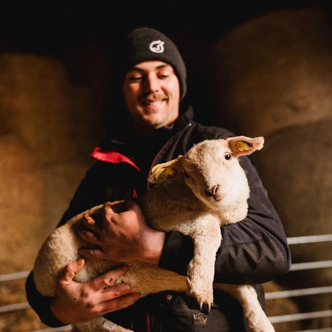 62,5 ha en élevage de Limousines et ovins Bio - Élevage en Nouvelle-Aquitaine | Hectarea - 9