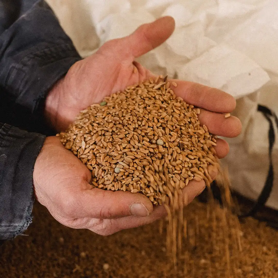 29,8 ha en élevage de chèvres Bio - Pyramide et Tomme - Élevage en Centre-Val de Loire | Hectarea - 2