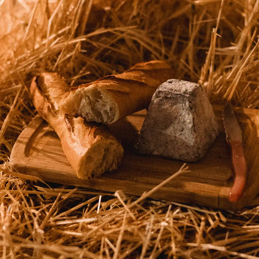 29,8 ha en élevage de chèvres Bio - Pyramide et Tomme - Élevage en Centre-Val de Loire | Hectarea - 6