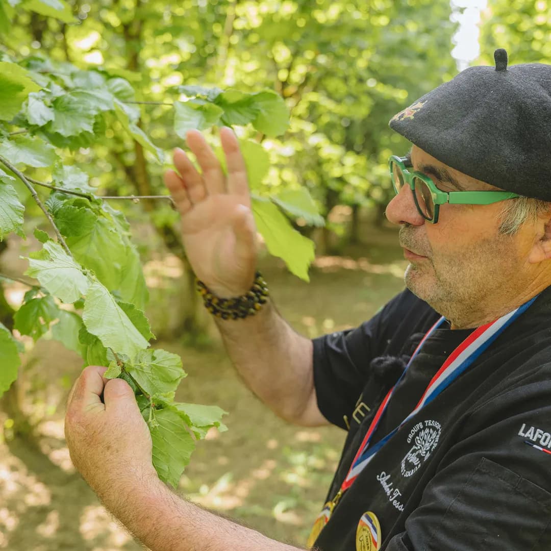 9,14 ha en arboriculture - Noisettes et amandes Bio - Arboriculture en Nouvelle-Aquitaine | Hectarea - 2