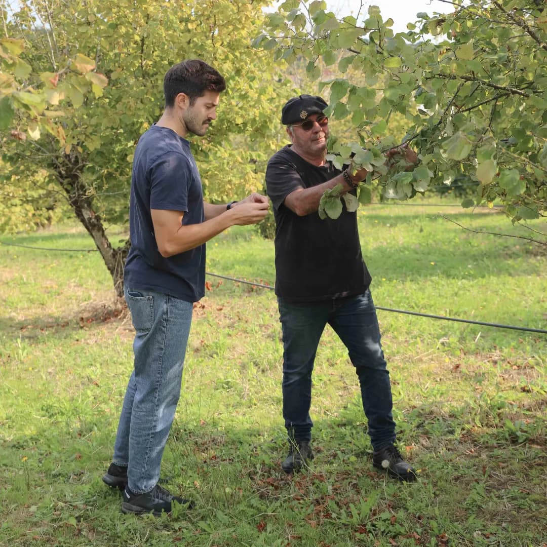 9,14 ha en arboriculture - Noisettes et amandes Bio - Arboriculture en Nouvelle-Aquitaine | Hectarea - 6