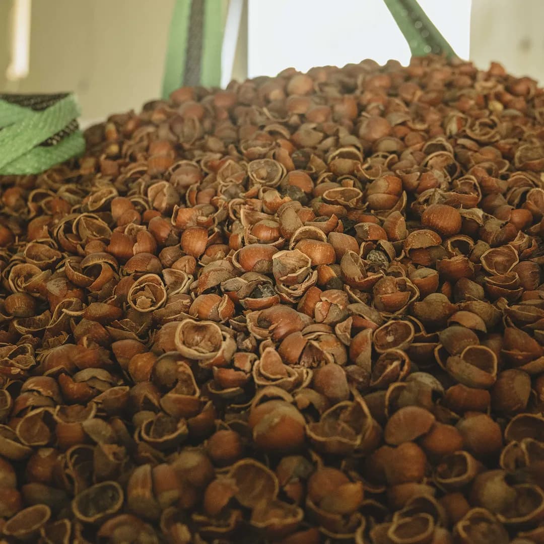 9,14 ha en arboriculture - Noisettes et amandes Bio - Arboriculture en Nouvelle-Aquitaine | Hectarea - 7