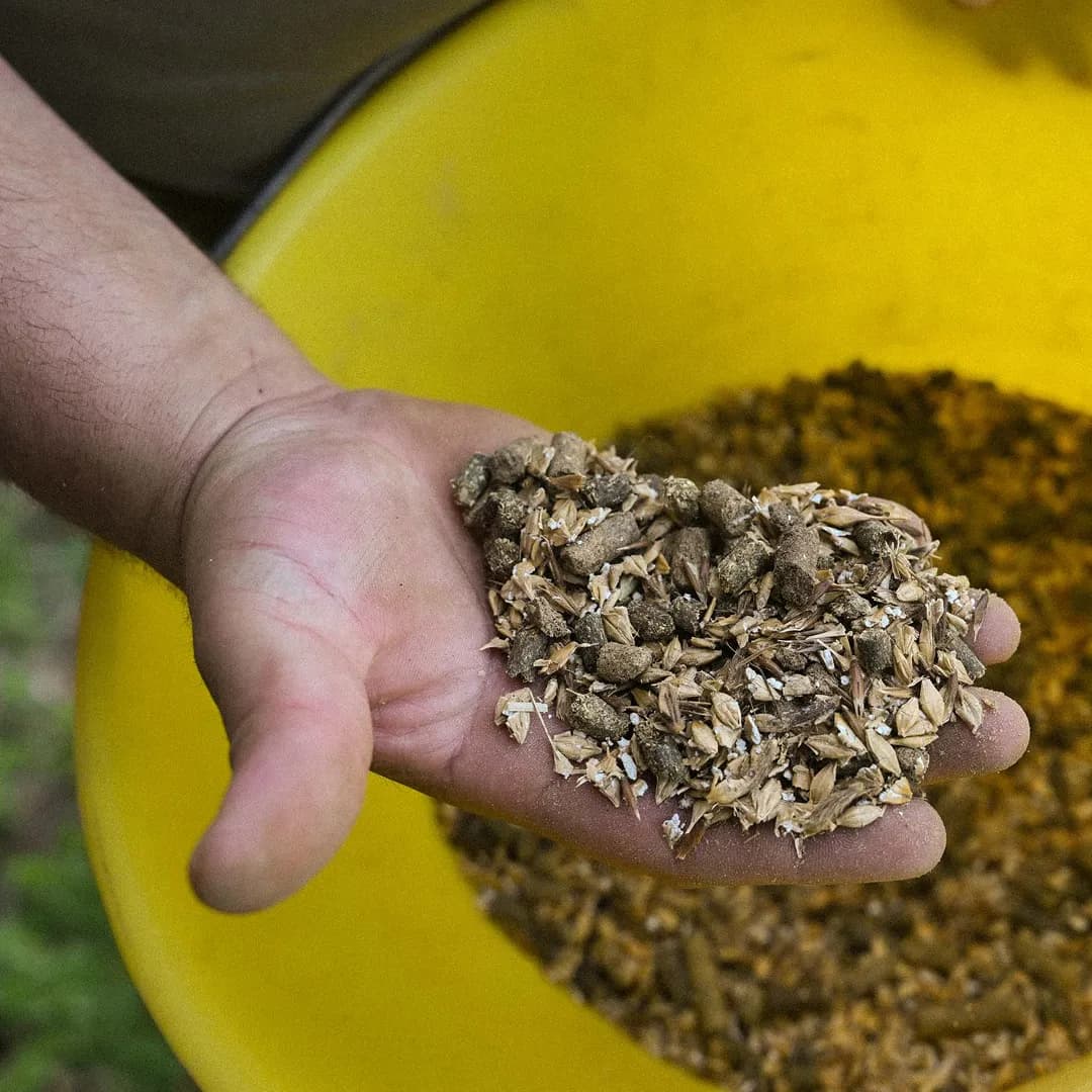 32,8 ha en élevage de brebis Texel - Agneaux labellisés - Élevage en Auvergne-Rhône-Alpes | Hectarea - 2