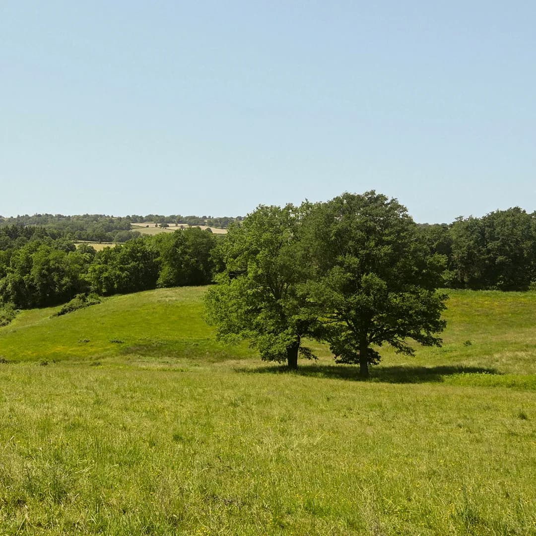 32,8 ha en élevage de brebis Texel - Agneaux labellisés - Élevage en Auvergne-Rhône-Alpes | Hectarea - 3
