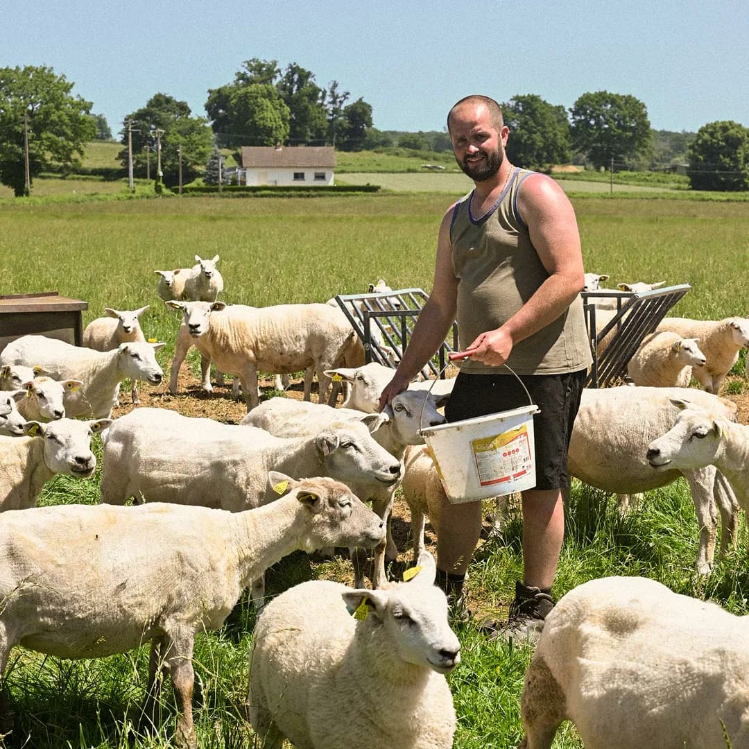 32,8 ha en élevage de brebis Texel - Agneaux labellisés - Élevage en Auvergne-Rhône-Alpes | Hectarea - 4