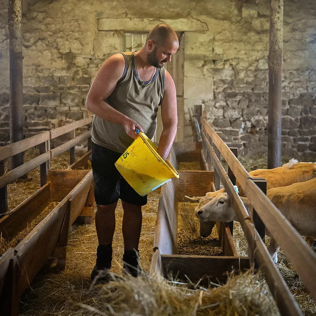 32,8 ha en élevage de brebis Texel - Agneaux labellisés - Élevage en Auvergne-Rhône-Alpes | Hectarea - 5