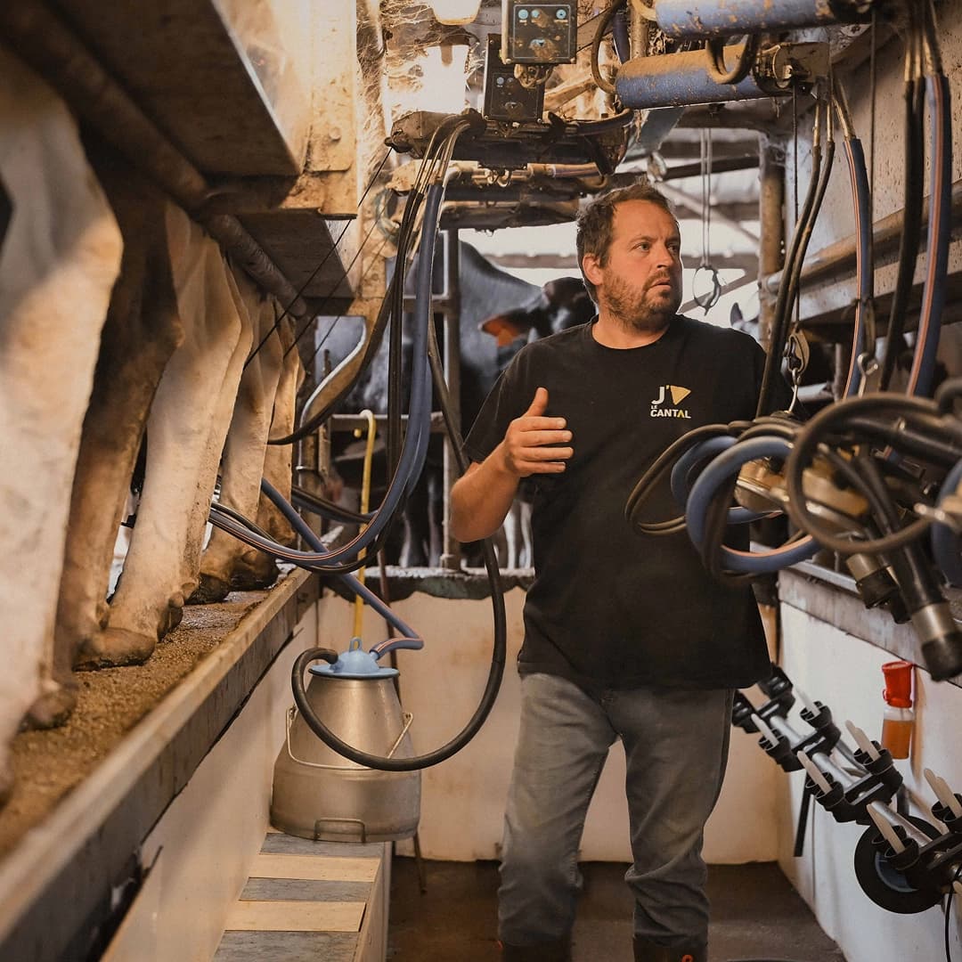 12,08 ha en élevage de vaches laitières - Cantal & Salers AOP - Élevage en Auvergne-Rhône-Alpes | Hectarea - 4