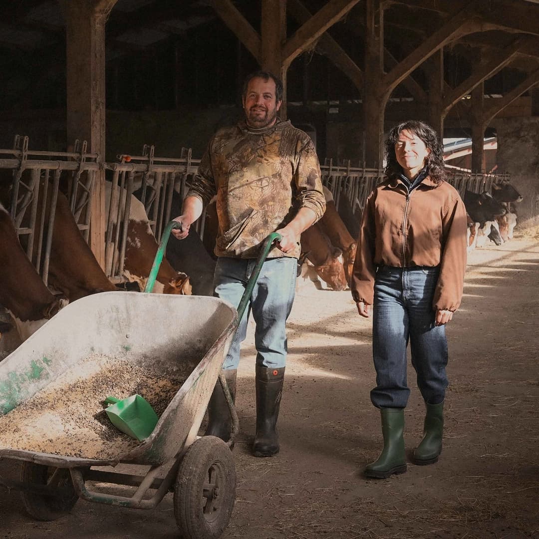 12,08 ha en élevage de vaches laitières - Cantal & Salers AOP - Élevage en Auvergne-Rhône-Alpes | Hectarea - 6