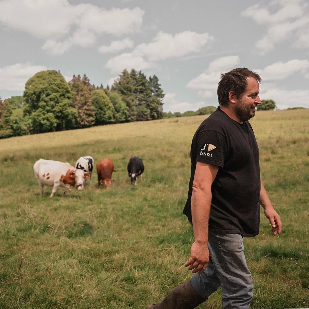 12,08 ha en élevage de vaches laitières - Cantal & Salers AOP - Élevage en Auvergne-Rhône-Alpes | Hectarea - 8