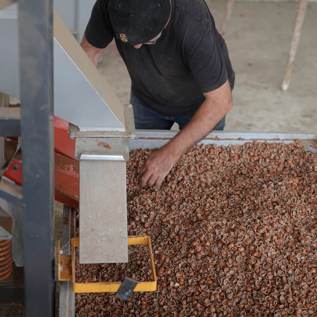 11,51 ha en arboriculture - Noisettes et Amandes Bio - Arboriculture en Nouvelle-Aquitaine | Hectarea - 5