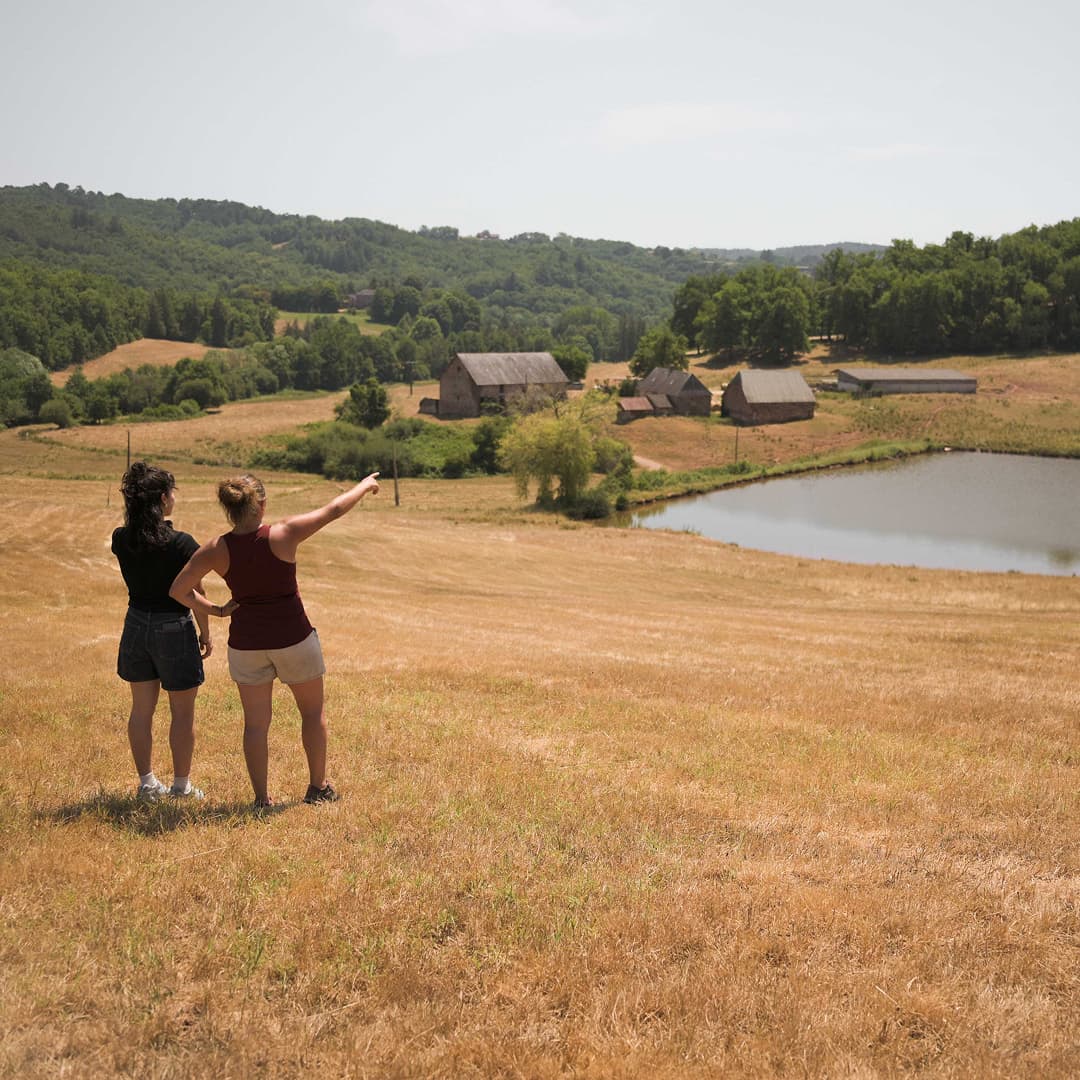 35,6 ha en élevage de brebis laitières Bio - Élevage en Nouvelle-Aquitaine | Hectarea - 2