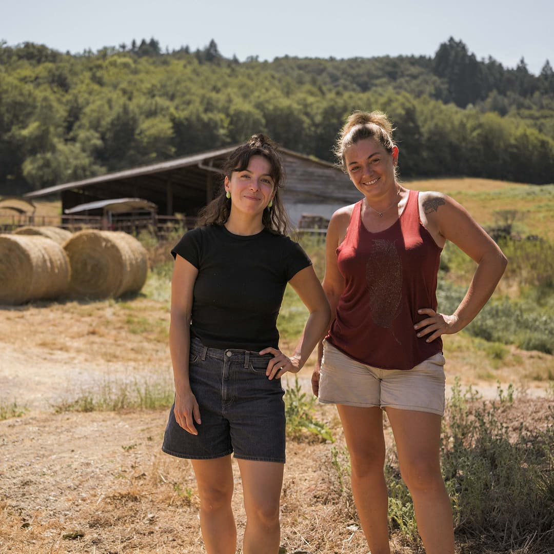 35,6 ha en élevage de brebis laitières Bio - Élevage en Nouvelle-Aquitaine | Hectarea - 4