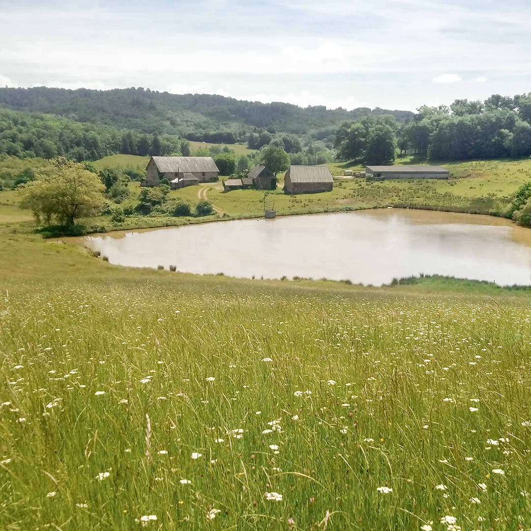 35,6 ha en élevage de brebis laitières Bio - Élevage en Nouvelle-Aquitaine | Hectarea - 6
