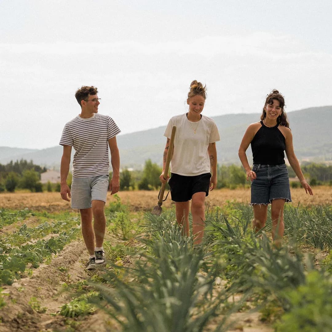 7,56 ha en maraîchage BIO - Maraîchage en PACA | Hectarea - 7