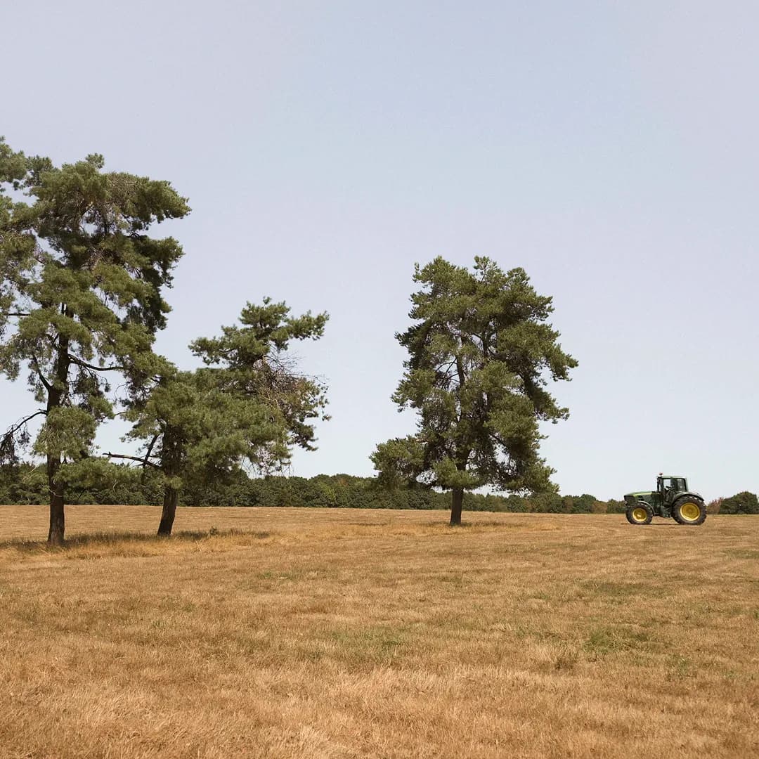 24 ha en élevage de Limousines - prairies naturelles - Élevage en Normandie | Hectarea - 3