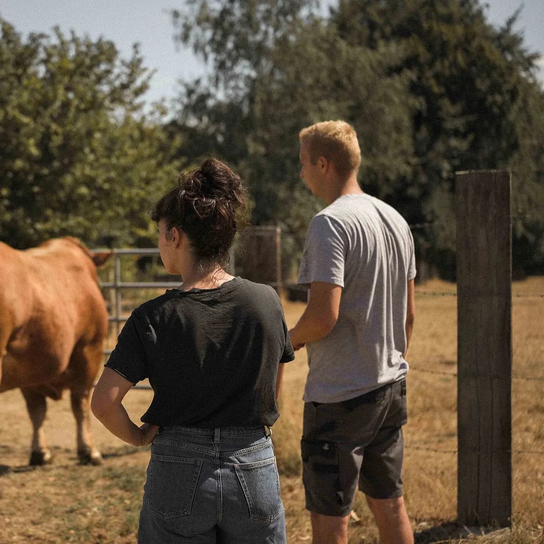 24 ha en élevage de Limousines - prairies naturelles - Élevage en Normandie | Hectarea - 7